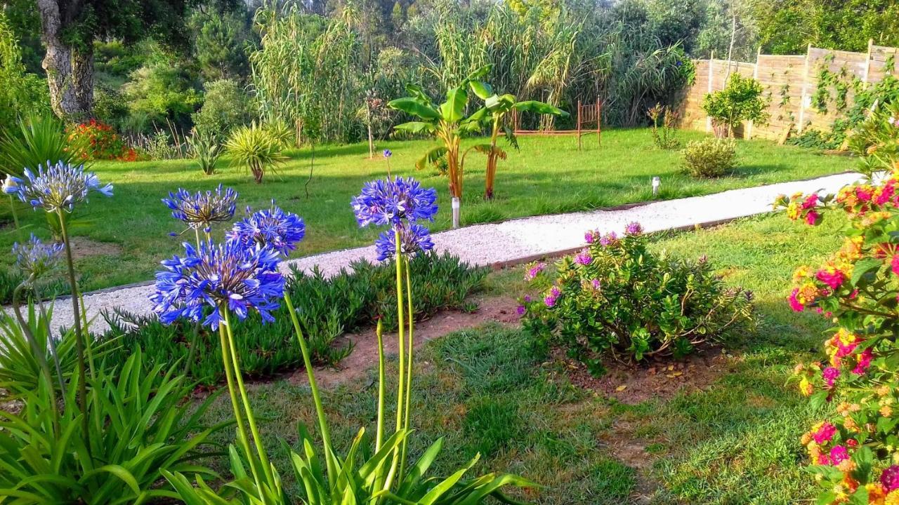 Bed and Breakfast Casa Do Sobreiro 2 Serra das Alhadas Esterno foto