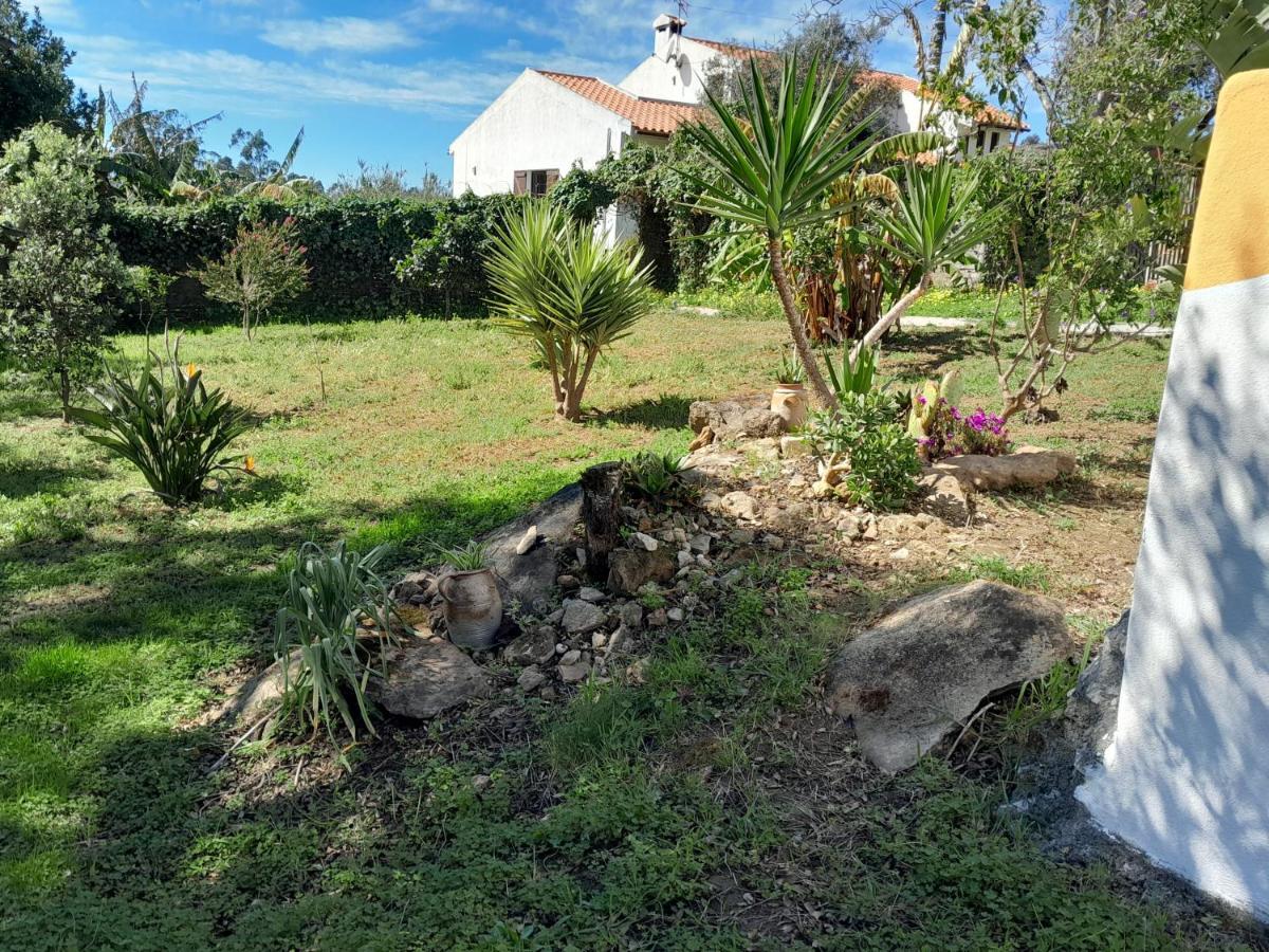 Bed and Breakfast Casa Do Sobreiro 2 Serra das Alhadas Esterno foto